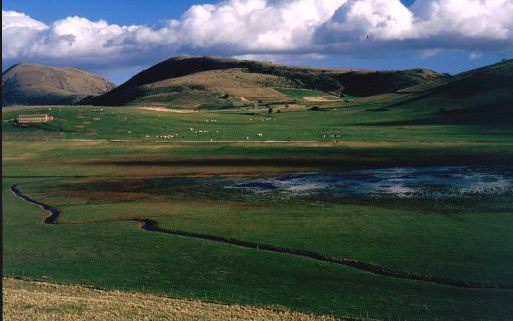 10458015_10202151002283343_7010623315447880327_n