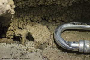 Grotta dei Teschi presso Tajmishte. Ossa concrezionate in una piccola nicchia